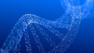 Tech Now - Embryo Screening: Designing Life?