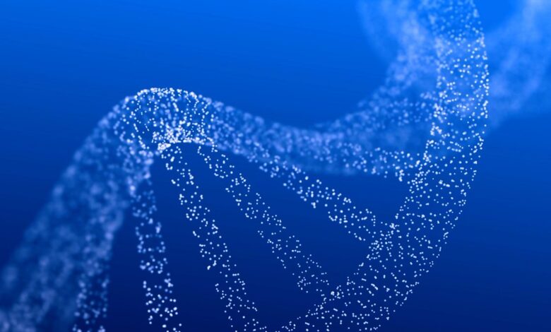 Tech Now - Embryo Screening: Designing Life?