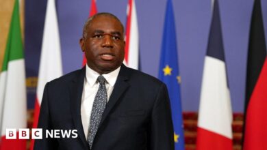 UK preparing to charter flights from Israel, David Lammy says
