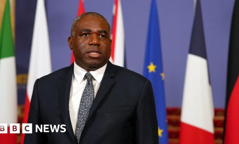 UK preparing to charter flights from Israel, David Lammy says