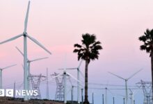 US green energy braces for federal funding cuts