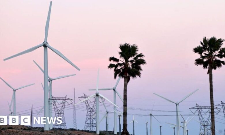 US green energy braces for federal funding cuts