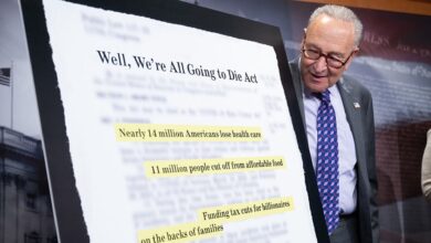 Why millions of Americans would lose health insurance under House GOP megabill