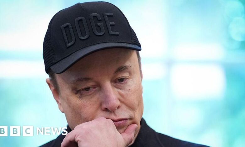 Will Musk's explosive row with Trump help or harm his businesses?