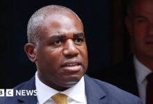 David Lammy 'appalled and sickened' by civilian suffering in Gaza