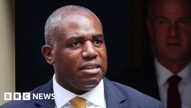 David Lammy 'appalled and sickened' by civilian suffering in Gaza