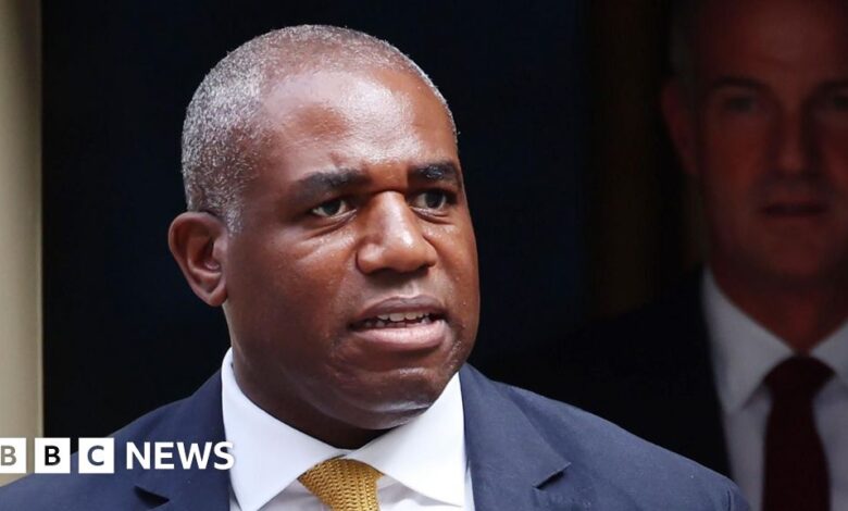 David Lammy 'appalled and sickened' by civilian suffering in Gaza