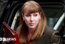 Deprivation and immigration straining cohesion, says Rayner
