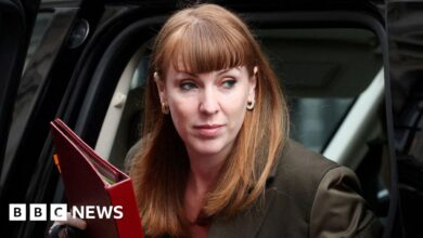 Deprivation and immigration straining cohesion, says Rayner