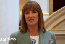 Government considering having borrowing assessed once a year