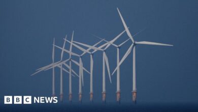 Government raises maximum guaranteed price for wind energy