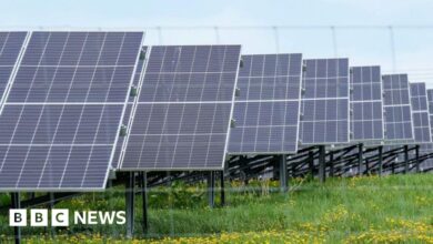 'Great British Energy solar panels' for schools were made in China