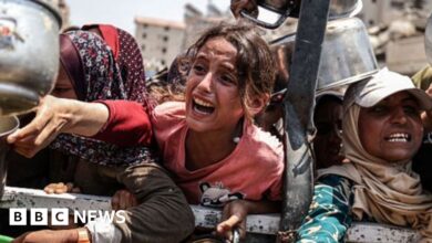 Israel-Gaza war: UK wants to 'affect situation on the ground'