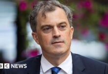 Julian Smith says David Cameron was 'cavalier' in handling of Brexit
