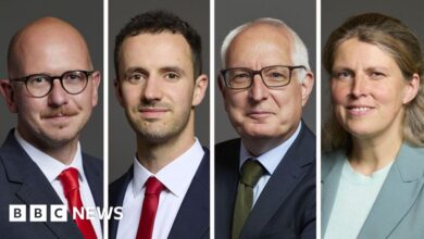 Labour suspends four rebel MPs for breaching party discipline