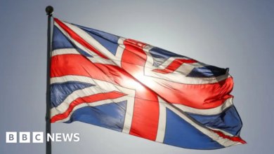 Londonderry: Police say union flag theft was sectarian hate crime