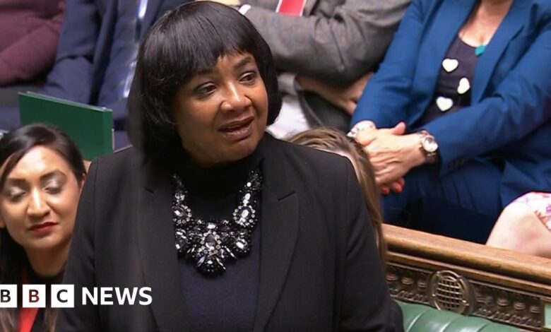 Minister denies Labour wants Diane Abbott out of party
