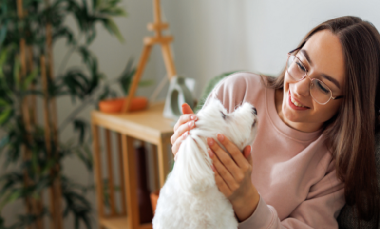 Ministers ditch pet insurance rule for renters in England
