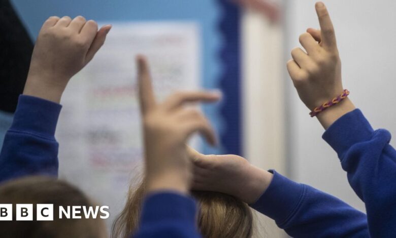 Ministers urged to keep education plans for children with special needs
