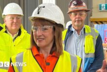 Reeves backs Cornish tin revival during visit