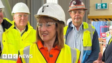 Reeves backs Cornish tin revival during visit