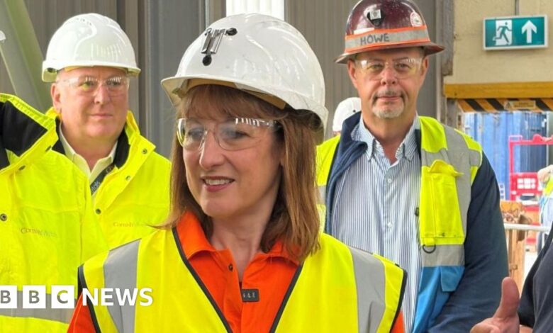 Reeves backs Cornish tin revival during visit