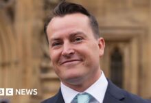 Reform MP James McMurdock gives up whip over business allegations, party says