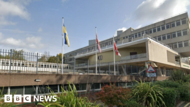 Reform council confirms 'patriotic' flag policy