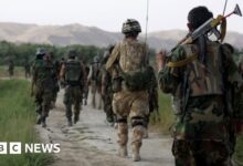 Security committee launches inquiry into Afghan data leak