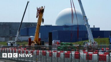 Sizewell C nuclear power plant costs rise to £38bn