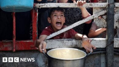 Starmer to hold emergency cabinet meeting on Gaza