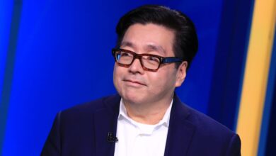 Tom Lee’s Granny Shots ETF rakes in $2 billion in AUM just 9 months after inception
