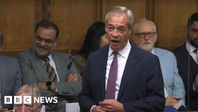 UK must refuse to take male small boat migrants - Farage