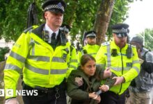 UN human rights chief criticises 'disturbing' Palestine Action ban
