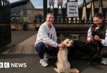 Voting age to be lowered to 16 by next general election