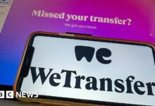 WeTransfer says files not used to train AI after backlash