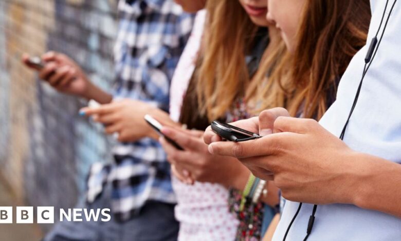 We're looking at further online safety rules, says minister