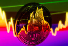 Why defensive names and bitcoin could be solid plays over the next six months