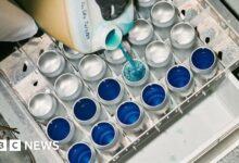 Could aluminium become the packaging 'champion'?