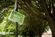 Green Party members start choosing new leadership