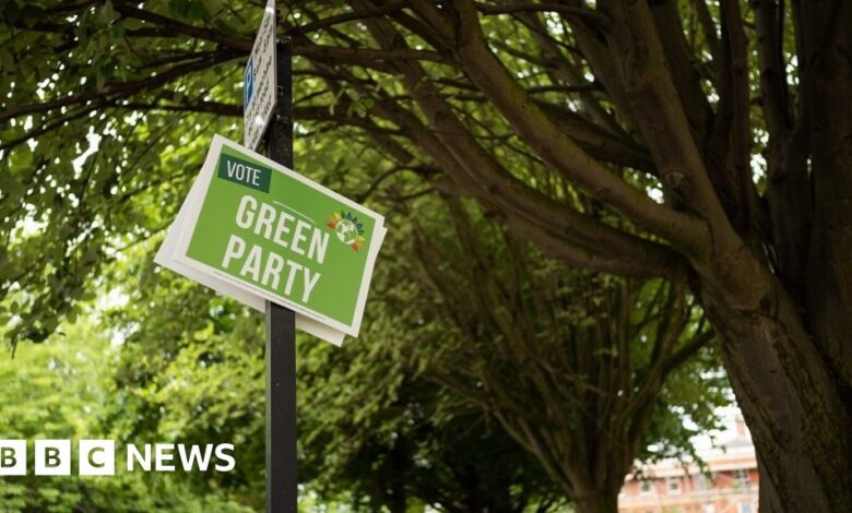 Green Party members start choosing new leadership