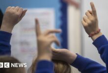 Lib Dems call for cap on SEND school profits