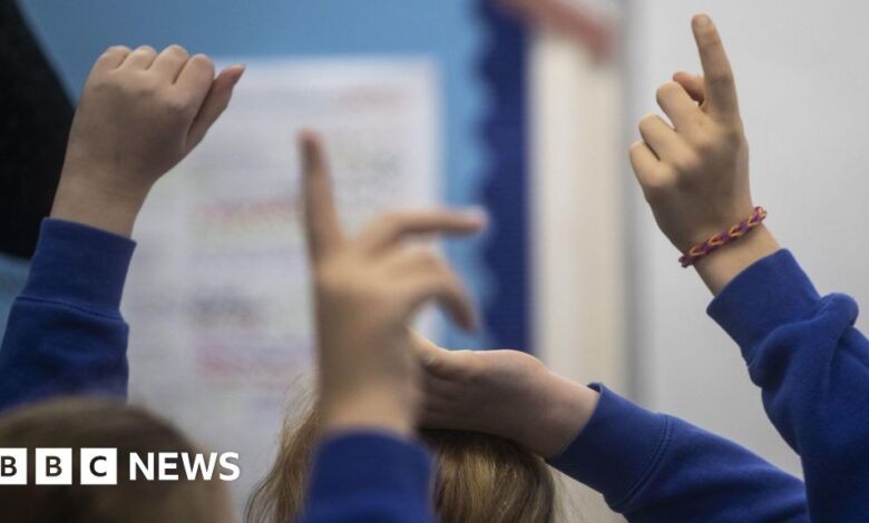 Lib Dems call for cap on SEND school profits