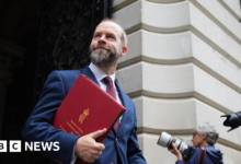 Minister says lawyers missing the point on Palestinian recognition