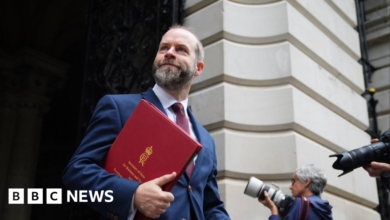 Minister says lawyers missing the point on Palestinian recognition