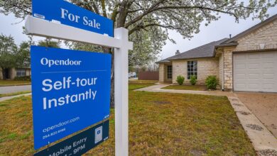 Opendoor tanks after earnings as CEO thanks new investors for 'increased visibility'