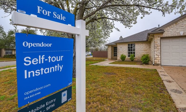 Opendoor tanks after earnings as CEO thanks new investors for 'increased visibility'