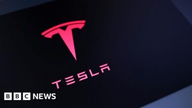 Tesla found partly to blame for fatal Autopilot crash