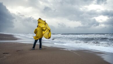 ‘The eye of the hurricane’: Why the U.S. job market has soured, economists say
