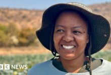 AI in Africa: Experts aim to close the language gap